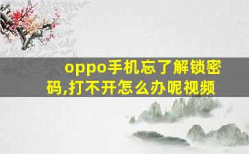 oppo手机忘了解锁密码,打不开怎么办呢视频