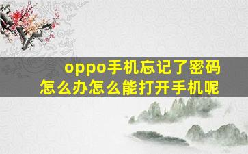 oppo手机忘记了密码怎么办怎么能打开手机呢