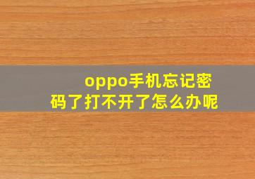 oppo手机忘记密码了打不开了怎么办呢