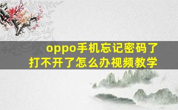 oppo手机忘记密码了打不开了怎么办视频教学