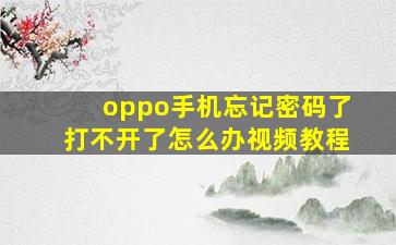 oppo手机忘记密码了打不开了怎么办视频教程