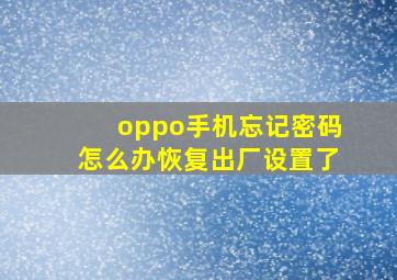 oppo手机忘记密码怎么办恢复出厂设置了