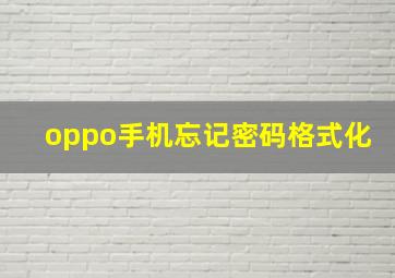 oppo手机忘记密码格式化