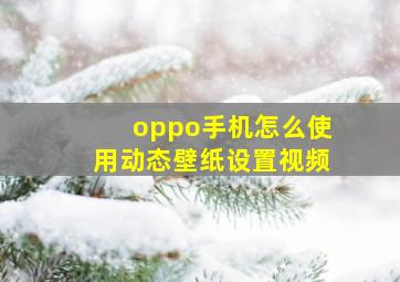 oppo手机怎么使用动态壁纸设置视频