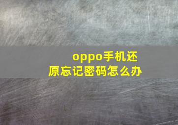 oppo手机还原忘记密码怎么办