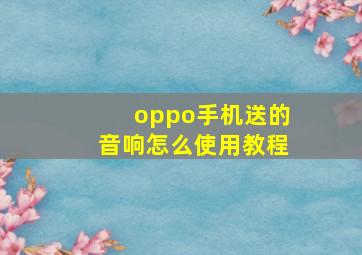 oppo手机送的音响怎么使用教程