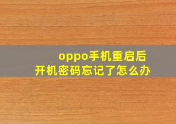 oppo手机重启后开机密码忘记了怎么办