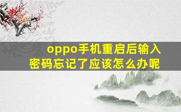 oppo手机重启后输入密码忘记了应该怎么办呢