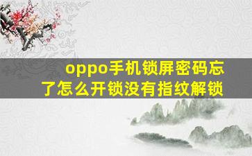 oppo手机锁屏密码忘了怎么开锁没有指纹解锁