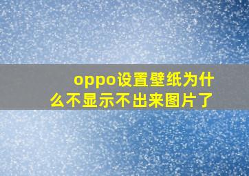 oppo设置壁纸为什么不显示不出来图片了