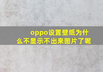 oppo设置壁纸为什么不显示不出来图片了呢