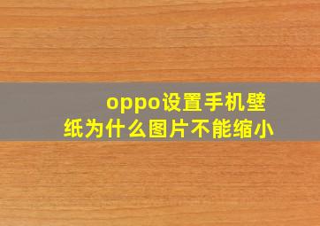 oppo设置手机壁纸为什么图片不能缩小