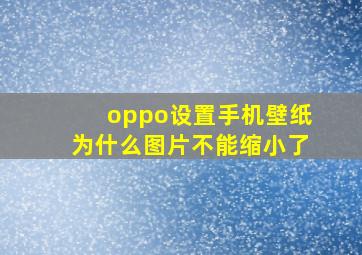 oppo设置手机壁纸为什么图片不能缩小了