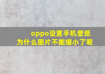 oppo设置手机壁纸为什么图片不能缩小了呢