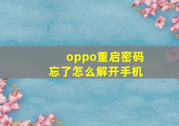 oppo重启密码忘了怎么解开手机