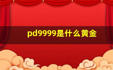 pd9999是什么黄金