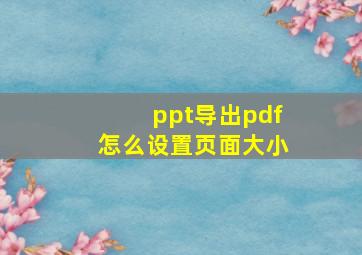 ppt导出pdf怎么设置页面大小