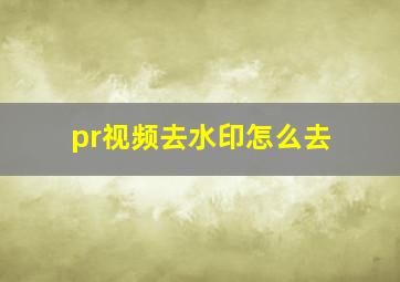 pr视频去水印怎么去