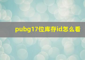 pubg17位库存id怎么看