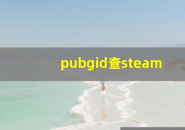 pubgid查steam