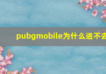 pubgmobile为什么进不去