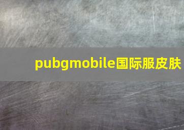 pubgmobile国际服皮肤