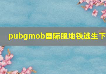 pubgmob国际服地铁逃生下载