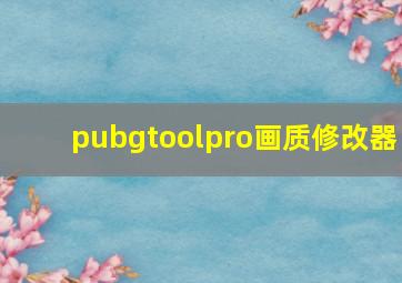 pubgtoolpro画质修改器