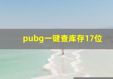 pubg一键查库存17位