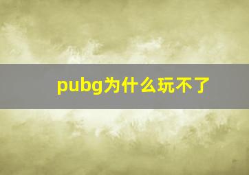 pubg为什么玩不了