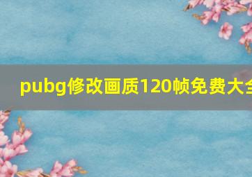 pubg修改画质120帧免费大全