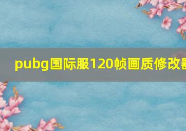 pubg国际服120帧画质修改器