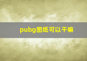 pubg图纸可以干嘛