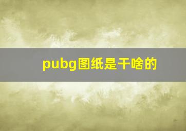 pubg图纸是干啥的