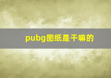 pubg图纸是干嘛的