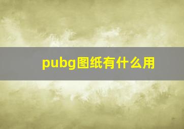 pubg图纸有什么用