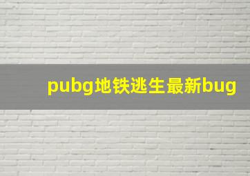 pubg地铁逃生最新bug