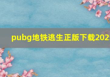 pubg地铁逃生正版下载2025