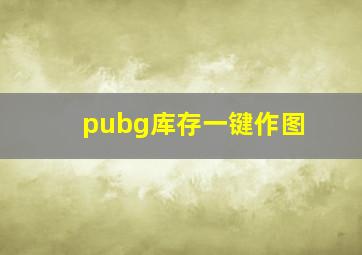 pubg库存一键作图