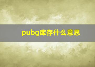 pubg库存什么意思