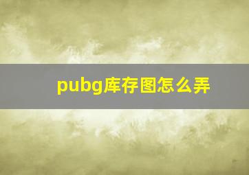 pubg库存图怎么弄