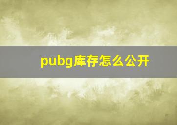 pubg库存怎么公开