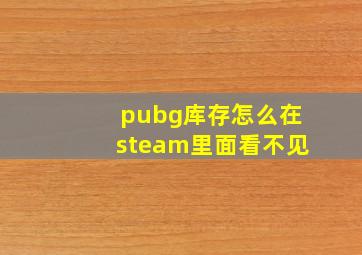 pubg库存怎么在steam里面看不见