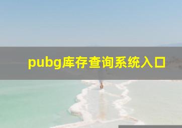 pubg库存查询系统入口