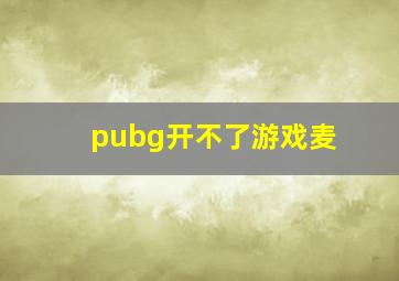 pubg开不了游戏麦