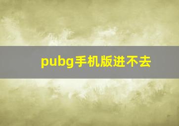 pubg手机版进不去