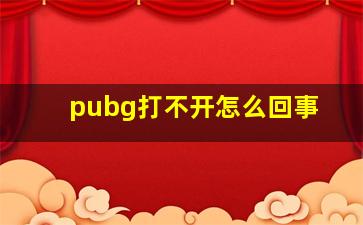 pubg打不开怎么回事