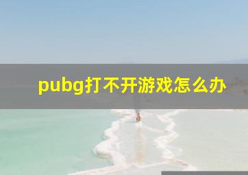 pubg打不开游戏怎么办