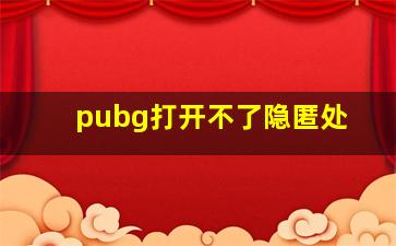 pubg打开不了隐匿处