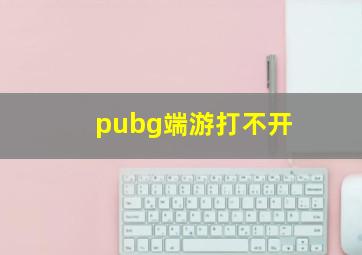 pubg端游打不开